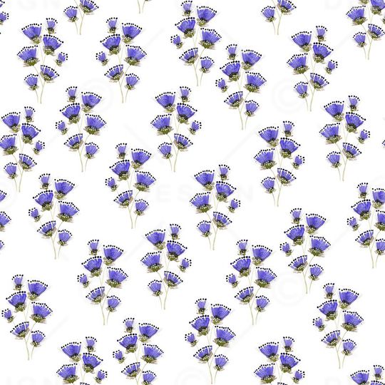 花朵印花华亿平台图片