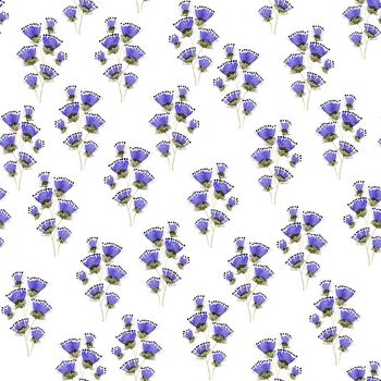 612719-水墨花点紫