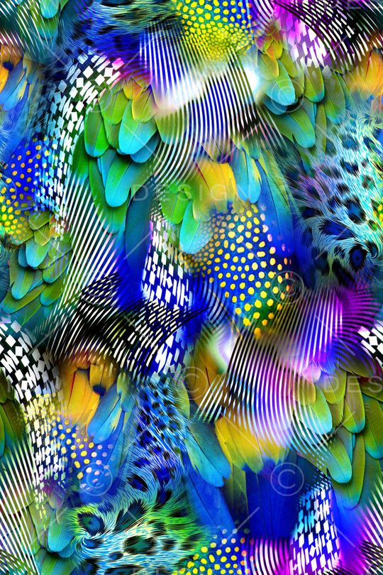 羽毛印花华亿平台图片