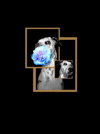 趣味印花华亿平台图片