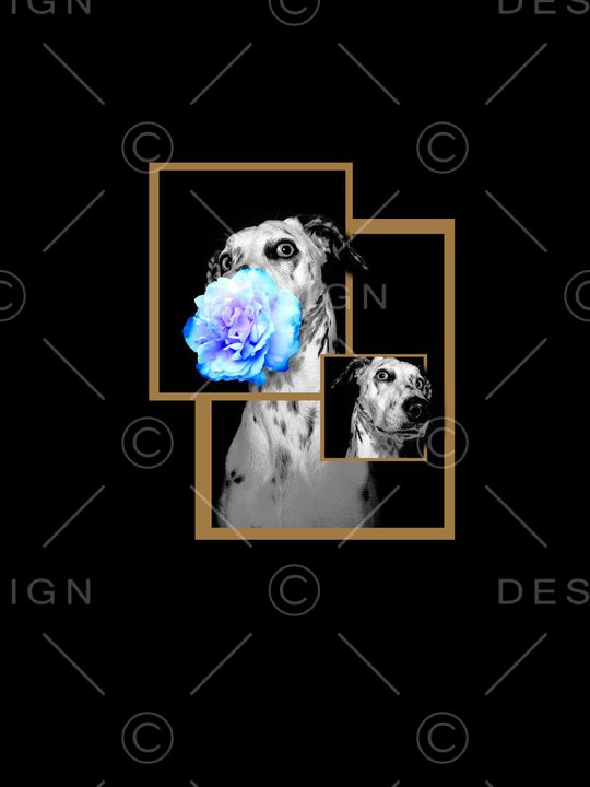 趣味印花华亿平台图片