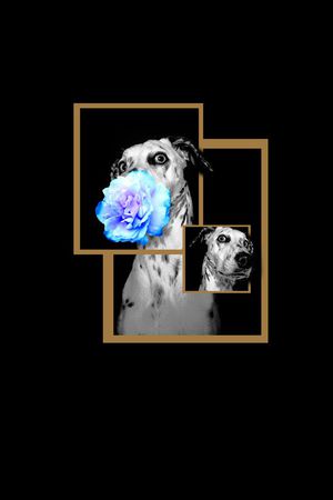 趣味印花华亿平台图片