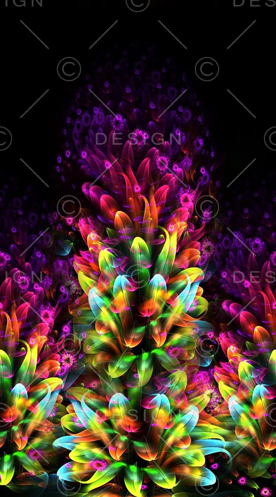 羽毛印花华亿平台图片