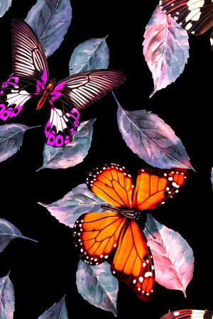 蝴蝶印花华亿平台图片