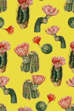 水彩印花华亿平台图片