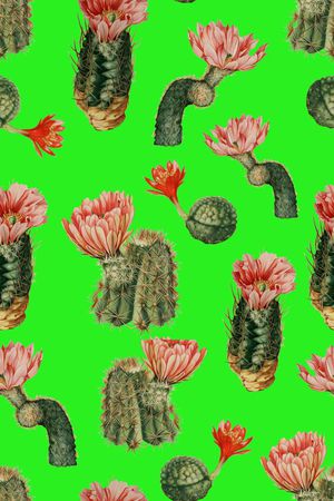 水彩印花华亿平台图片