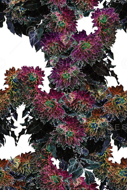 典雅印花华亿平台图片