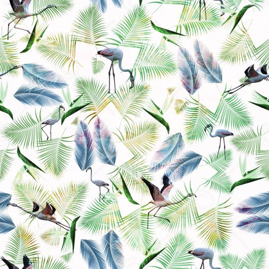 火焰鸟印花华亿平台图片