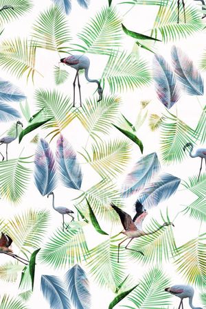 火焰鸟印花华亿平台图片