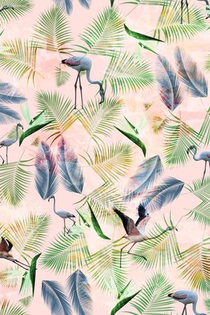 火焰鸟印花华亿平台图片