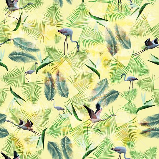 火焰鸟印花华亿平台图片