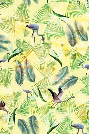 火焰鸟印花华亿平台图片