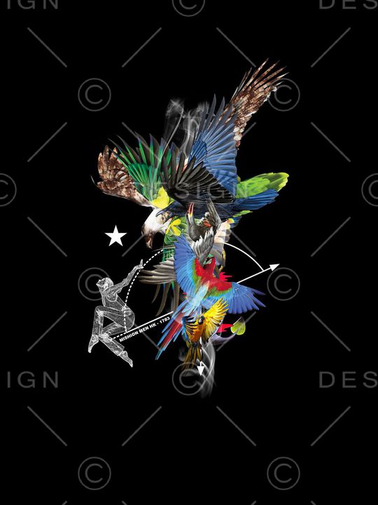 鹦鹉印花华亿平台图片