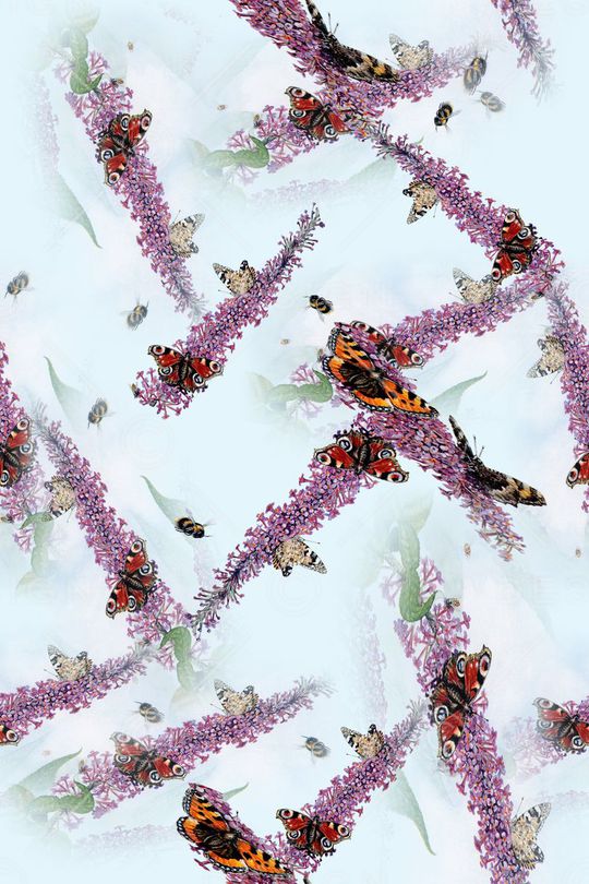 花朵印花华亿平台图片