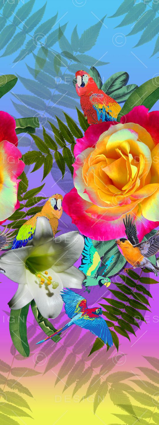 围巾华亿平台印花华亿平台图片