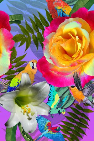 围巾华亿平台印花华亿平台图片