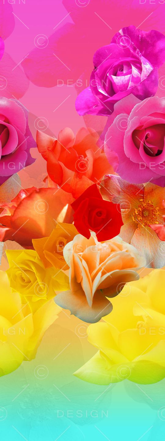 围巾华亿平台印花华亿平台图片