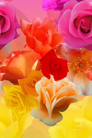 围巾华亿平台印花华亿平台图片