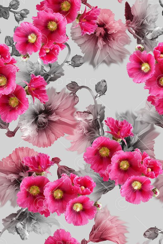 油画花卉印花华亿平台图片