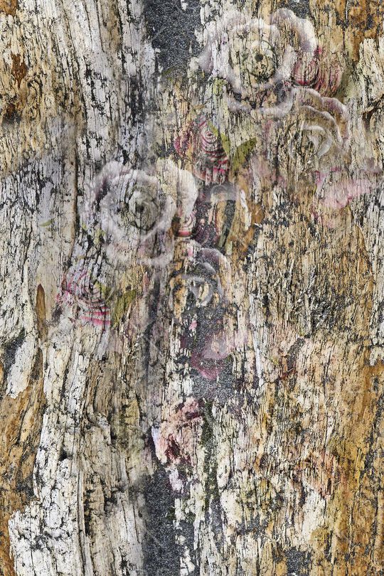 树皮纹理印花华亿平台图片