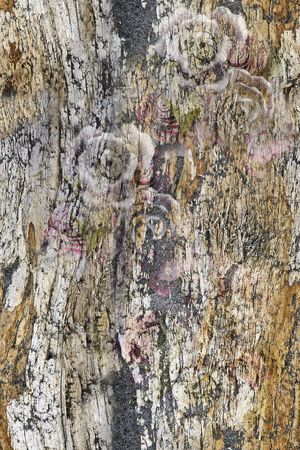 树皮纹理印花华亿平台图片