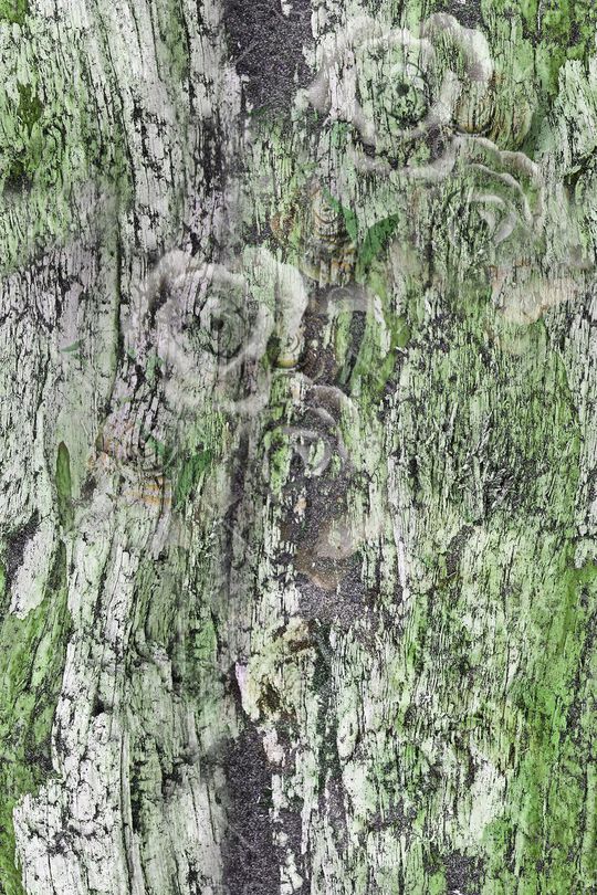 树皮纹理印花华亿平台图片