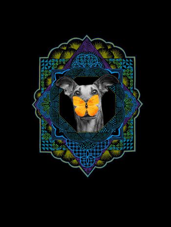 佩斯利印花华亿平台图片