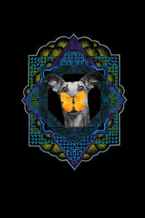 佩斯利印花华亿平台图片