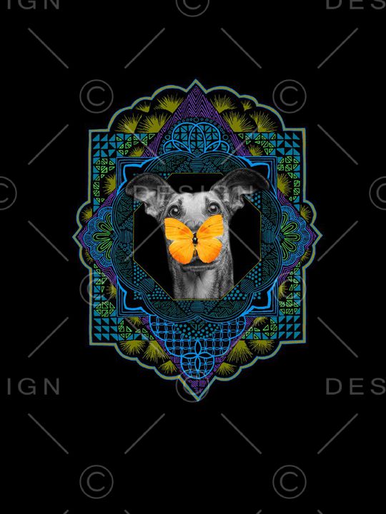 佩斯利印花华亿平台图片