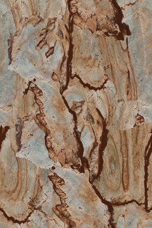 肌理印花华亿平台图片