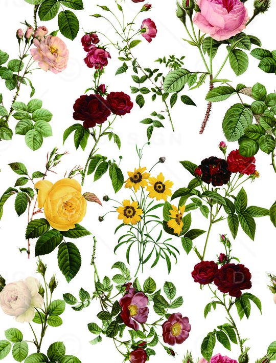 雏菊印花华亿平台图片