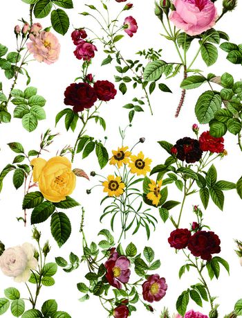 613740-手绘花 白色