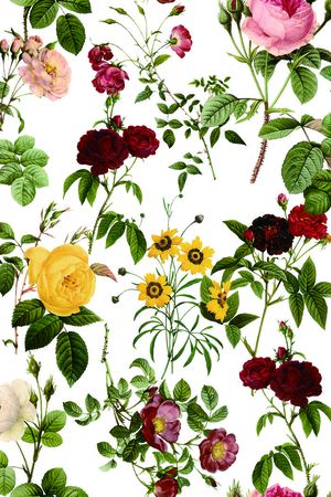 雏菊印花华亿平台图片