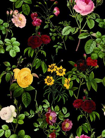 613741-手绘花 黑色