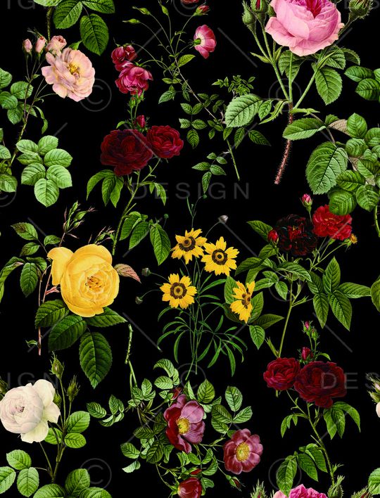 雏菊印花华亿平台图片