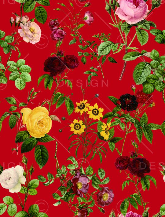 雏菊印花华亿平台图片