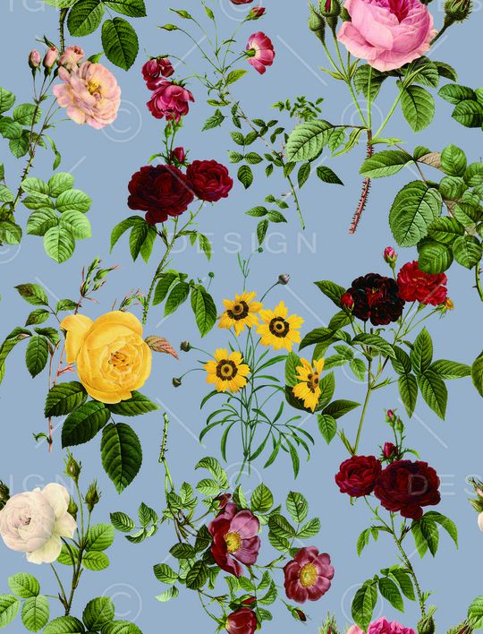 雏菊印花华亿平台图片