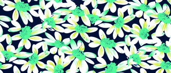 613754-太阳撇丝花 宝蓝