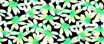 613756-太阳撇丝花 黑色