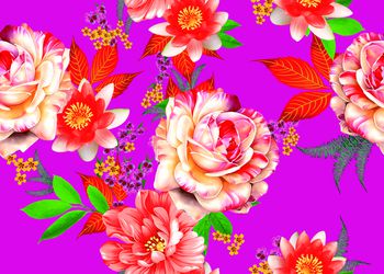 613764-睡莲花卉 梅红