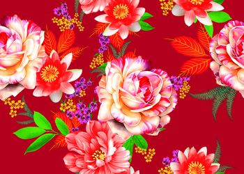 613765-睡莲花卉 深红