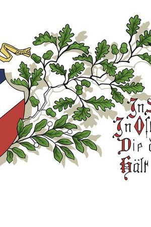 日韩风印花华亿平台图片