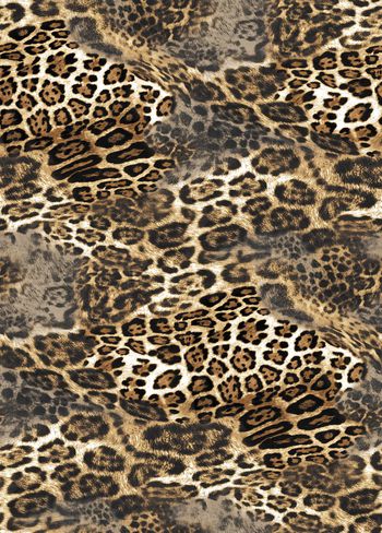 老虎印花华亿平台图片