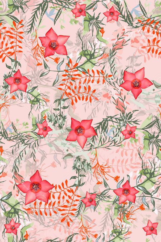 女装印花华亿平台图片