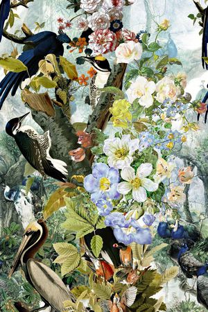 创意印花华亿平台图片