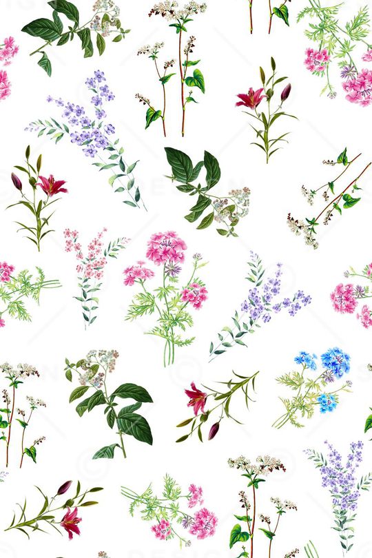 女装印花华亿平台图片