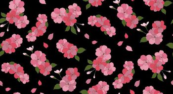 613921-樱花--黑底