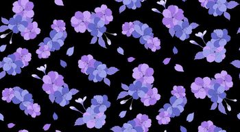 613922-樱花--黑底紫色