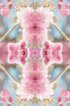 樱花印花华亿平台图片