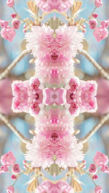 樱花印花华亿平台图片